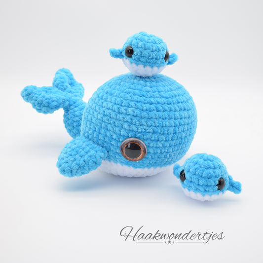 Walvis