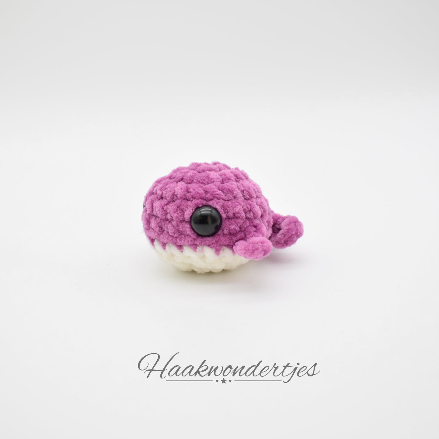 Walvis