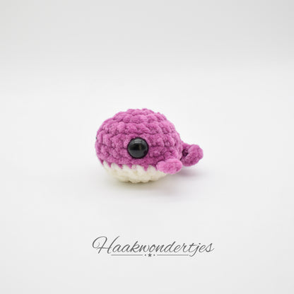 Walvis